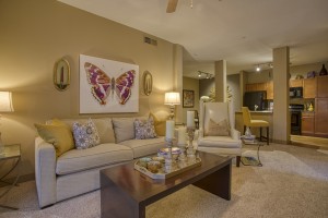2 Bedroom Apartments For Rent in San Antonio, TX - Model Living Room (2) 